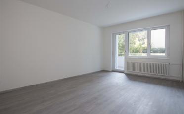 Appartement 3.5 pièces - image - 5