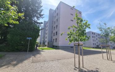 Wohnung 4 Zimmer - image - 2
