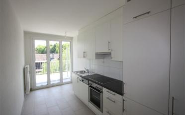 Wohnung 3 Zimmer - image - 2
