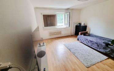 Appartement 3.5 pièces - image - 4