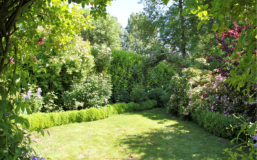 Villa 6.5 Zimmer - image - 2
