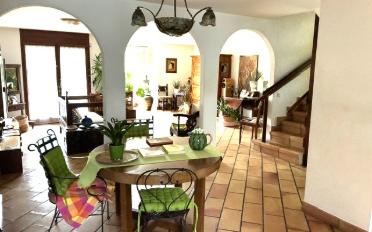 Doppeleinfamilienhaus 6.5 Zimmer - image - 6
