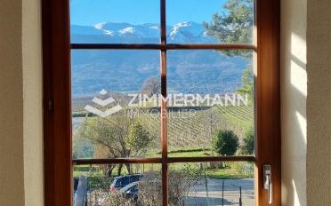 Einfamilienhaus 5.5 Zimmer - image - 3