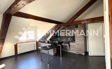Appartement 1.5 pièces - image - 2