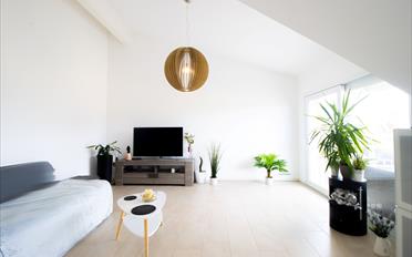 Wohnung 3.5 Zimmer - image - 5