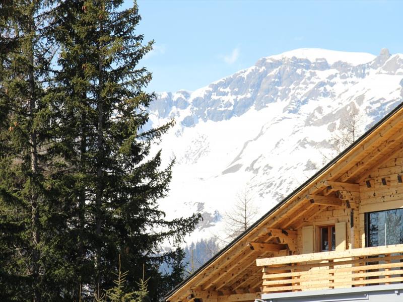 Summit Immobilier