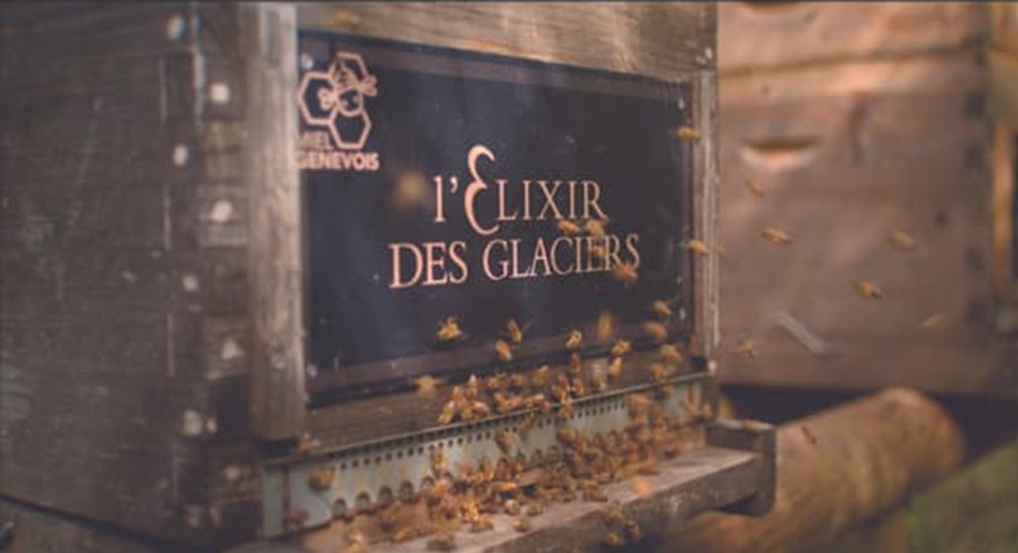 Ruches appartenant à Valmont et dédiées à l’approvisionnement de miel, de propolis et de gelée royale pour les formules de L’Élixir des Glaciers (Essence of Bees). Ruches appartenant à Valmont et dédiées à l’approvisionnement de miel, de propolis et de gelée royale pour les formules de L’Élixir des Glaciers (Essence of Bees).