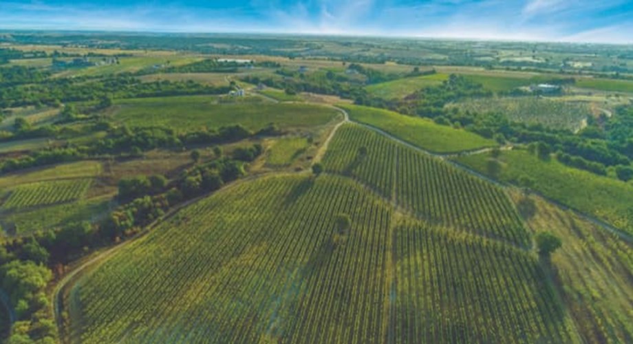 Le pays revendique une véritable culture et histoire viticoles.