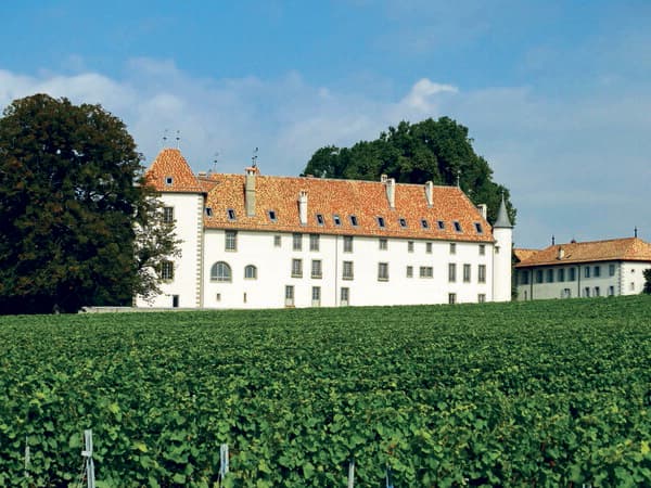 Le Château d'Allaman est situé sur une vaste parcelle de plus de 12 hectares.