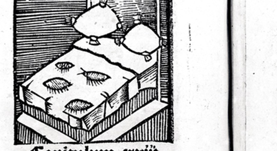 Une des premières illustrations de punaises de lit dans l'édition de 1485 du Hortus sanitatis