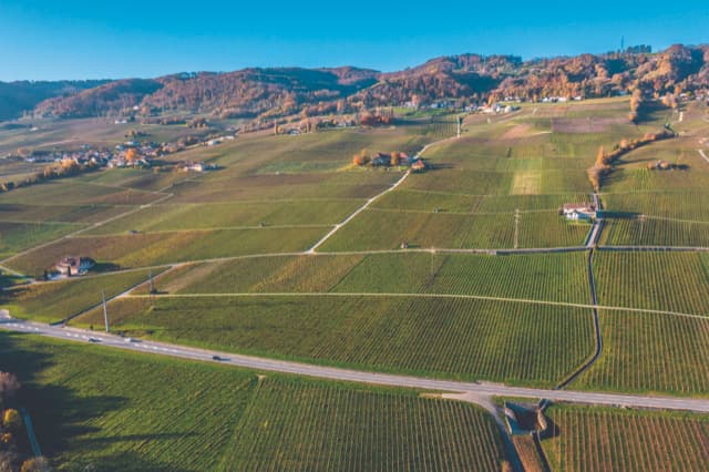 Le domaine du Bac d'Or, situé dans le triangle d'or viticole entre Rolle et Mont-sur-Rolle. Le domaine du Bac d'Or, situé dans le triangle d'or viticole entre Rolle et Mont-sur-Rolle.