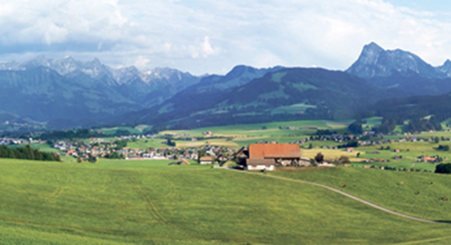 Plusieurs facteurs alimentent l'engouement pour le logement en propriété fribourgeois Plusieurs facteurs alimentent l'engouement pour le logement en propriété fribourgeois