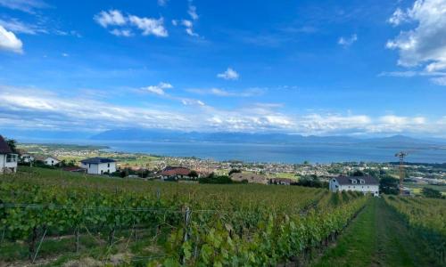 VENTE CONFIDENTIELLE SUR LA CÔTE VAUDOISE