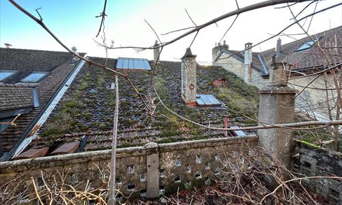 Immeuble de 3 niveaux plus combles avec de très beaux jardins. — photo 3