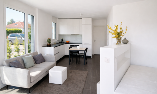 Charmant appartement avec jardin – Thônex