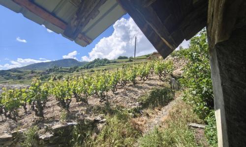 2 GRANGES À RÉNOVER SIERRE TERRAIN DE 780m2 — photo 2