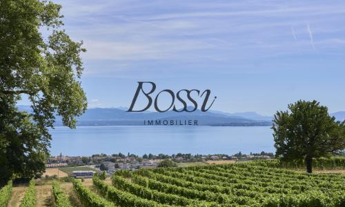 Un belvédère contemporain face au Léman