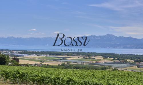 Un belvédère contemporain face au Léman — photo 3