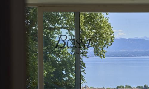 Un belvédère contemporain face au Léman — photo 4