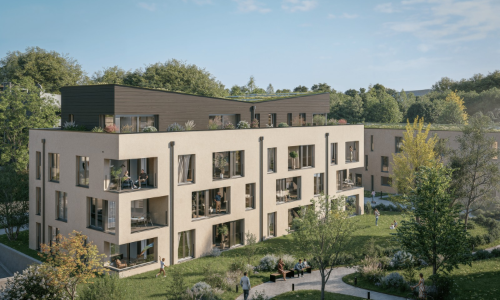 Appartement 2.5 pièces lumineux au rez-de-chaussée  - À découvrir ! — photo 4
