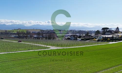 Maison hors du commun à deux pas de Morges — photo 4