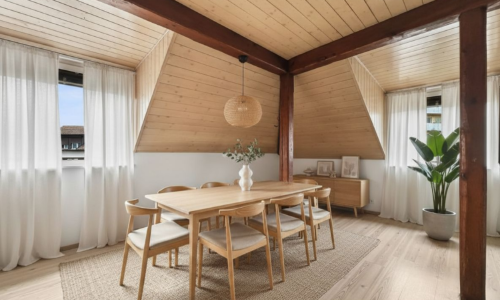 IL OCCUPE TOUTE LA TOITURE DE L'IMMEUBLE ?VOTRE COCON SOUS LES TOITS FACE À LA THIELLE