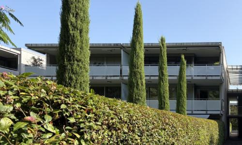 4 pièces avec terrasse dans un écrin de verdure à Vessy — photo 5