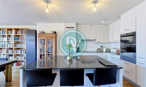 Attique duplex d'exception à Carouge — photo 4