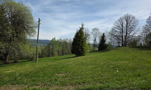 Deux chalets implantés sur une vaste parcelle ensoleillée — photo 3