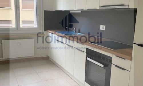 Appartement entièrement rénové