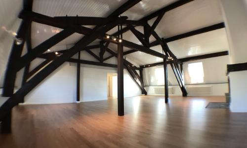 Attique magnifique, grand, atypique et rénové dans le Vieux-Carouge — photo 2