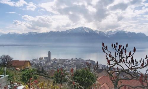 Magnifique maison de 5,5 pièces avec vue panoramique sur le lac et les