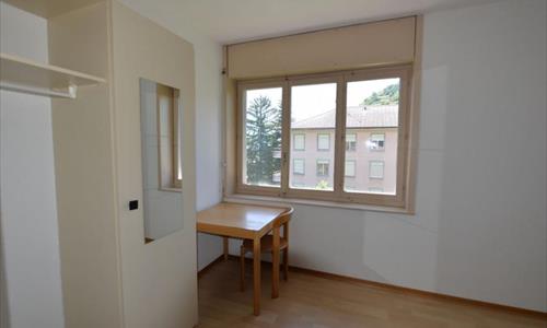 Studios pour étudiant — photo 5