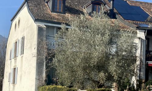 Magnifique maison de village