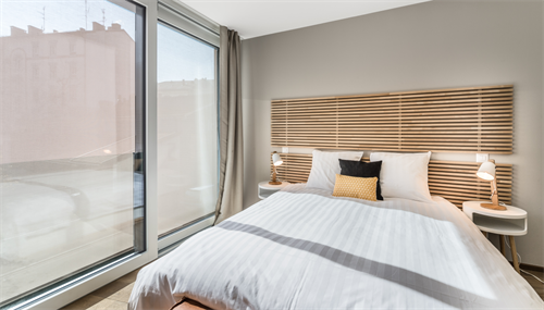 ✨ Charmant Studio Meublé à Louer à Carouge, Rue des Noirettes, Genève ✨ — photo 3