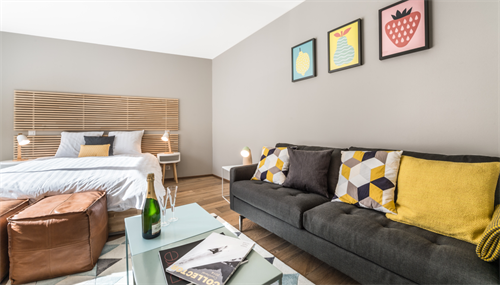 ✨ Charmant Studio Meublé à Louer à Carouge, Rue des Noirettes, Genève ✨ — photo 4