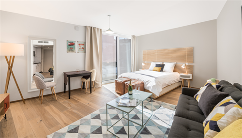 ✨ Charmant Studio Meublé à Louer à Carouge, Rue des Noirettes, Genève ✨
