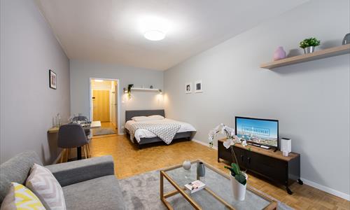 ✨ Studio Meublé et Confortable à Louer – Rue de Richemont, Proche Quartier des Pâquis ✨ — photo 3