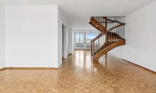 Grand duplex de 6 pièces avec vue panoramique à Onex