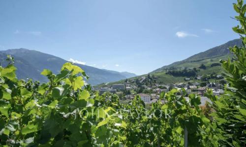 OPPORTUNITÉ EXCEPTIONNELLE - BIEN RARE À SIERRE — photo 2
