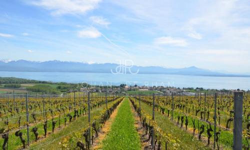Magnifique propriété hauts de Nyon