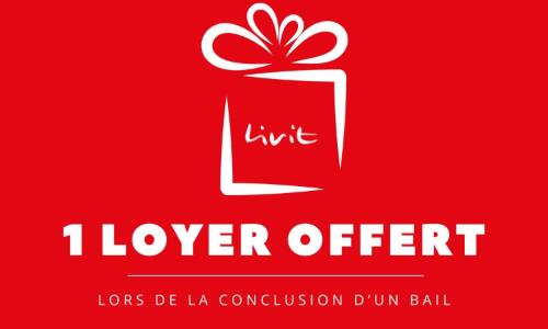 Appartement entièrement rénové - Un mois de loyer offert