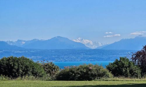 Domaine surplombant le bassin Lémanique — photo 3