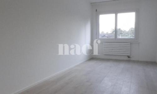 Appartement rénové — photo 5