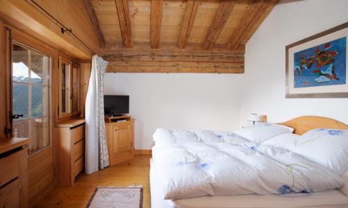 Luxueux chalet et son mazot indépendant — photo 5