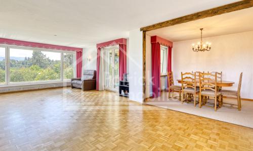 Villa individuelle 4.5 pièces avec vue dégagée et grand jardin — photo 3