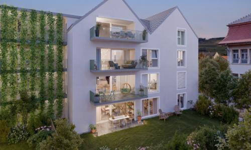 VOTRE LOGEMENT FAMILIAL À 20 MIN DE LAUSANNE ! — photo 2