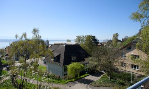 Villa individuelle 4.5 pièces avec grand jardin à Neuchâtel — photo 2