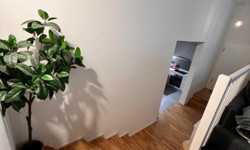 Studio en duplex — photo 3