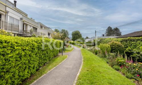 En Exclusivité : Charmant appartement avec terrasse et jardin à Cressy
